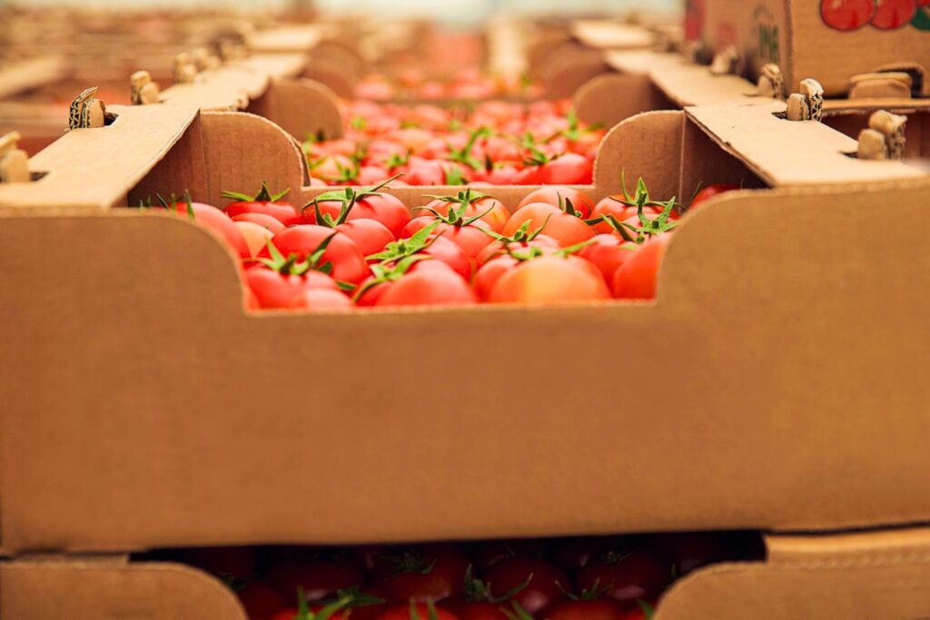 Food and beverage products (1)